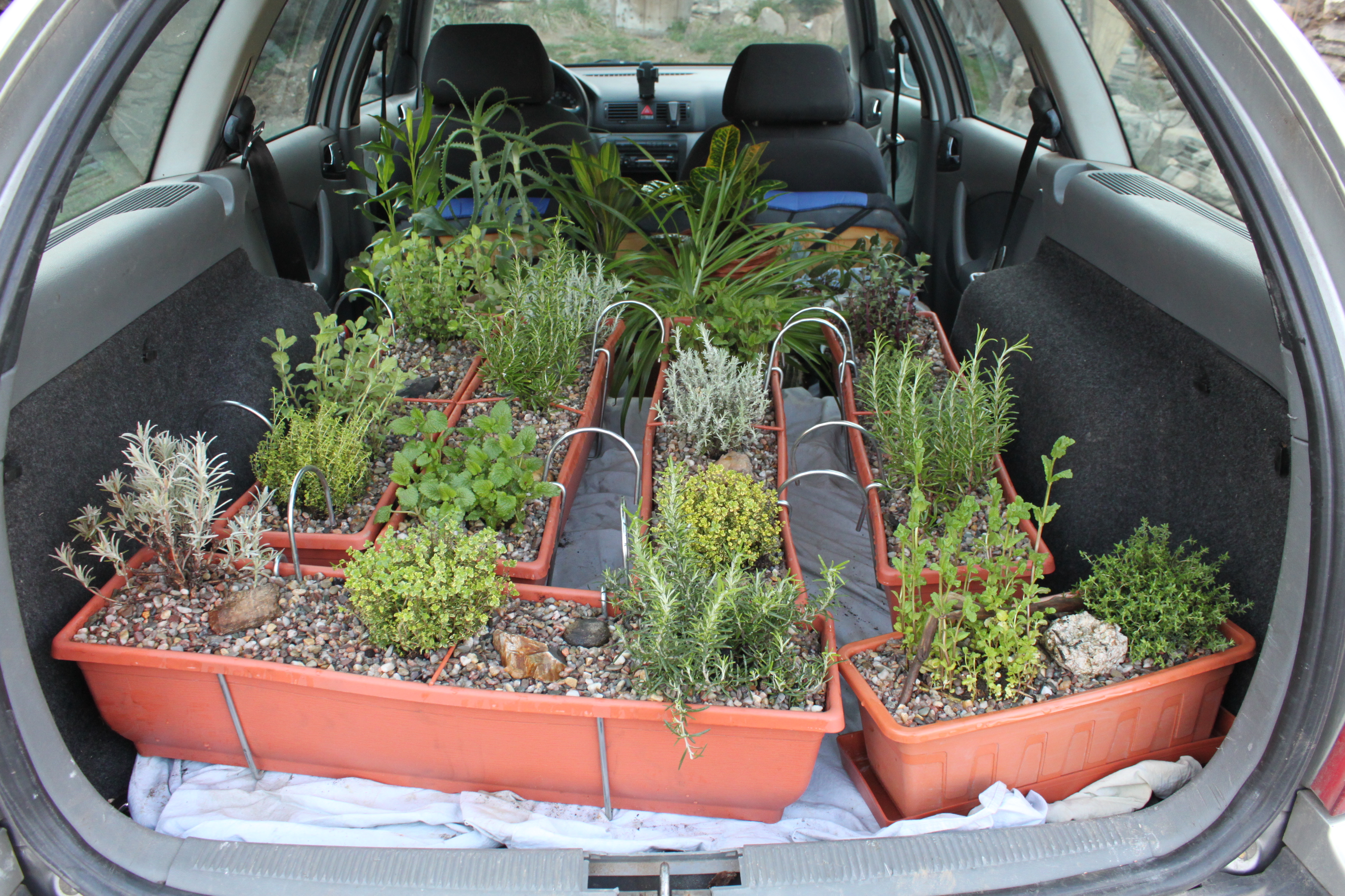 Zahradnictví Na Kocandě foto 4