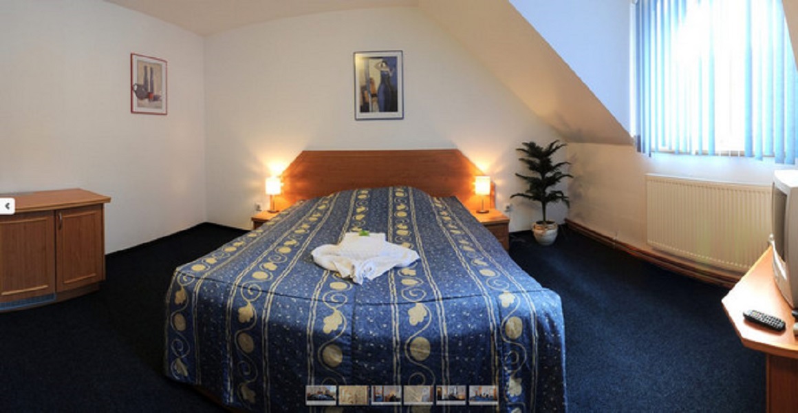 SVOBODA WELLNESS HOTEL *** foto 2