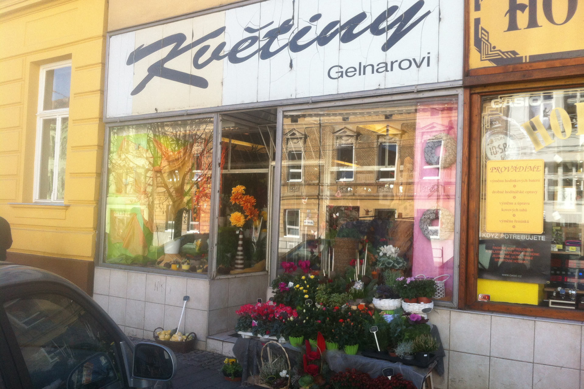 Kvetiny-gelnarova.cz foto 1