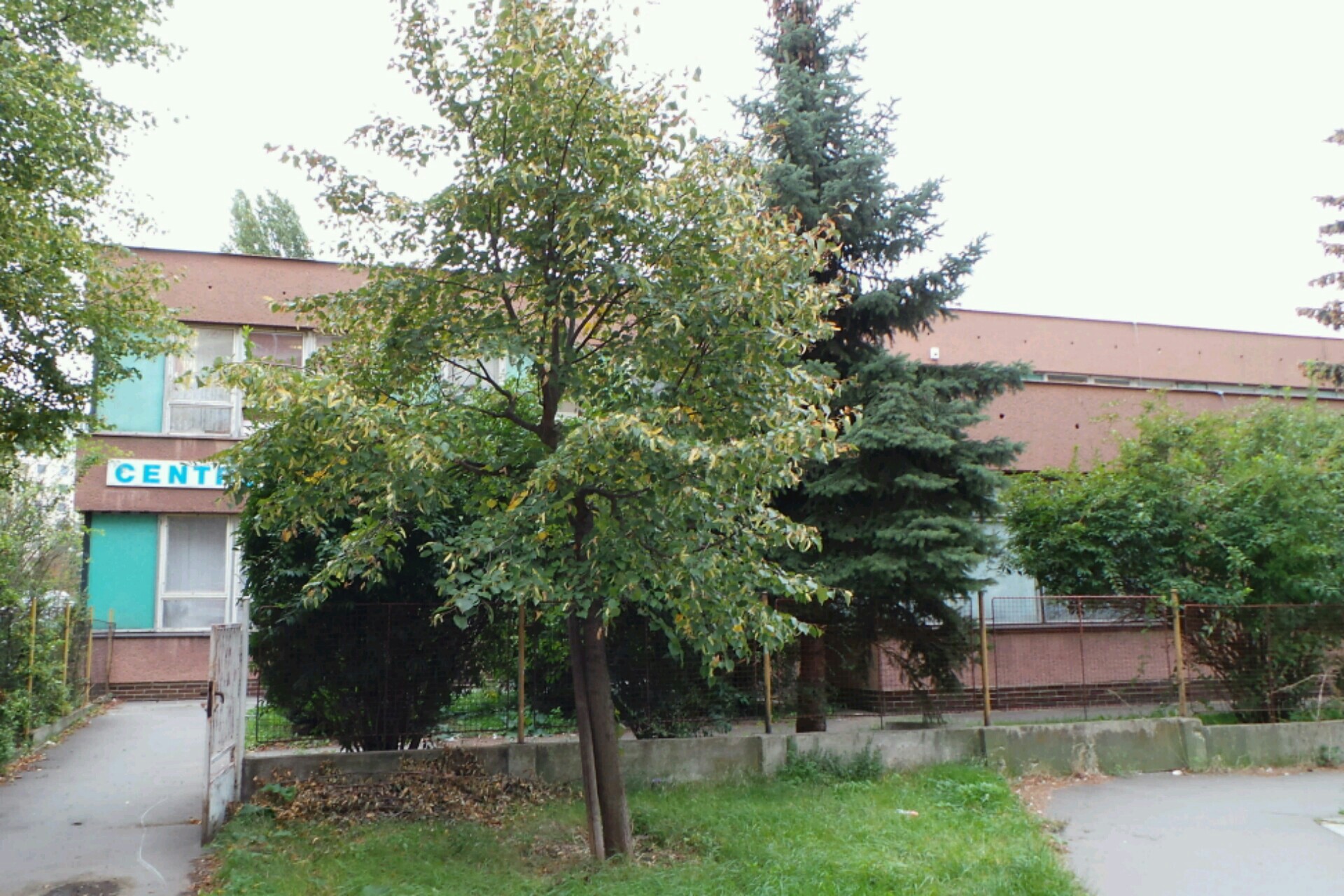 Centrum zdraví, s.r.o.