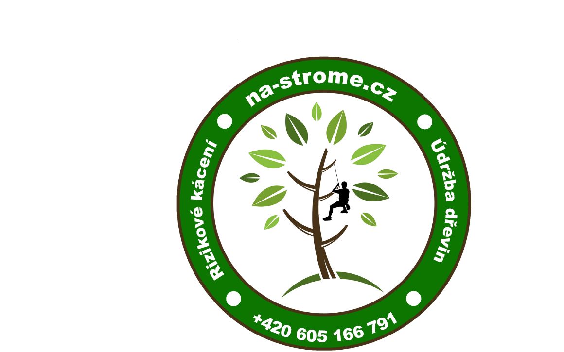 Jan Vyjídáček - kácení a ořezy dřevin foto 3