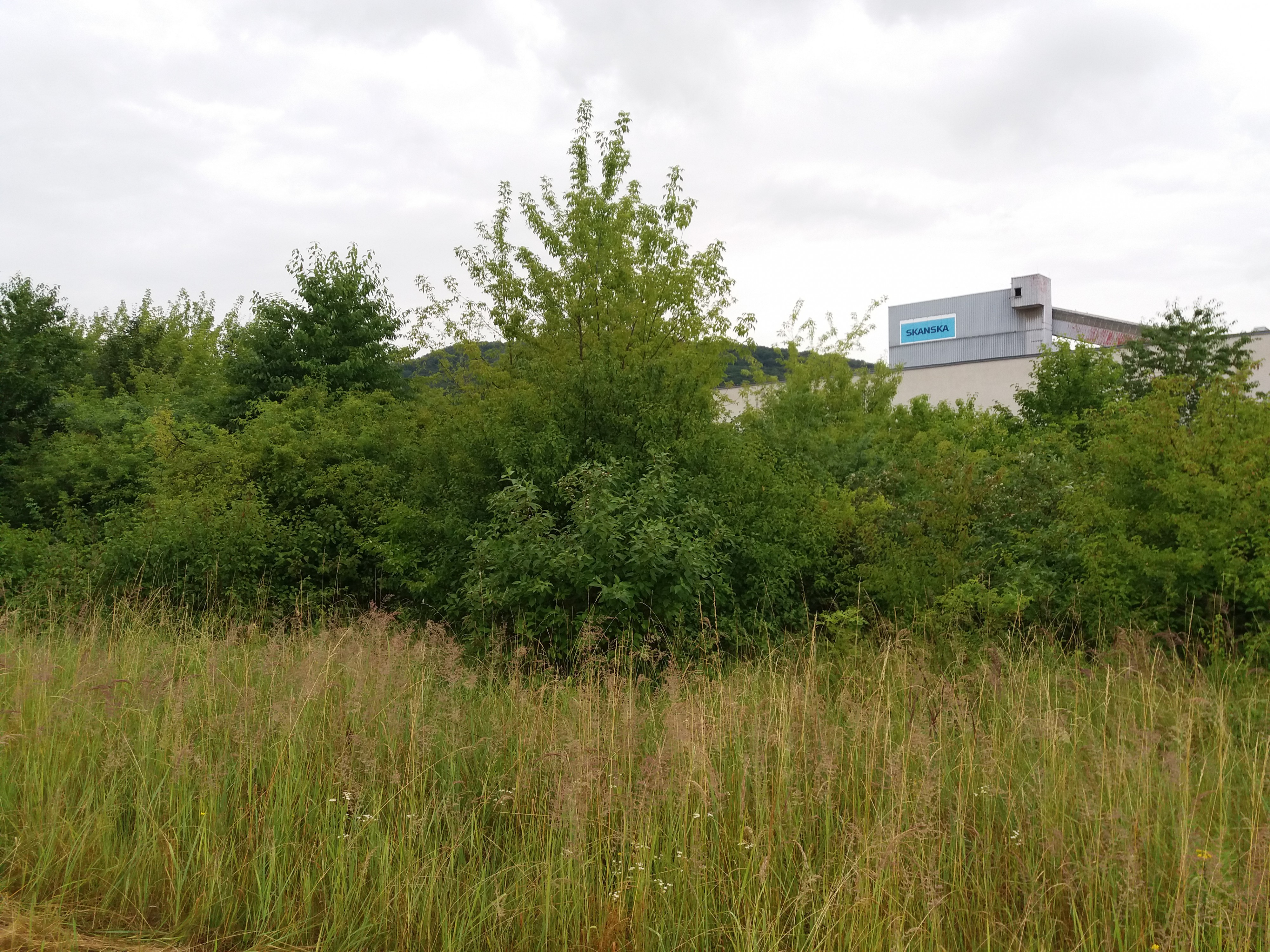 Skanska Transbeton, s.r.o. foto 2