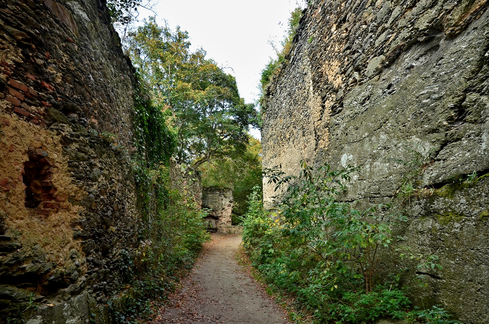 Zřícenina hradu Nový Hrádek u Lukova foto 4
