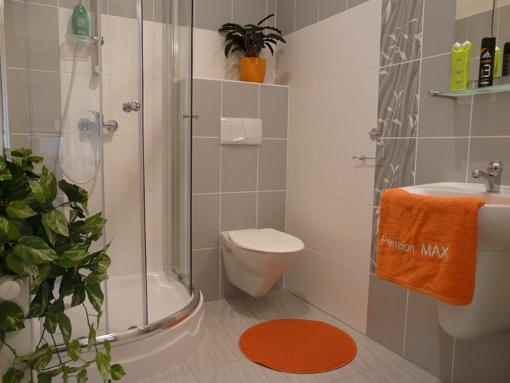 PENZION MAX**** foto 6
