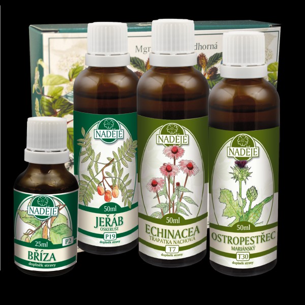 Mgr. Jarmila Podhorná - NADĚJE foto 4