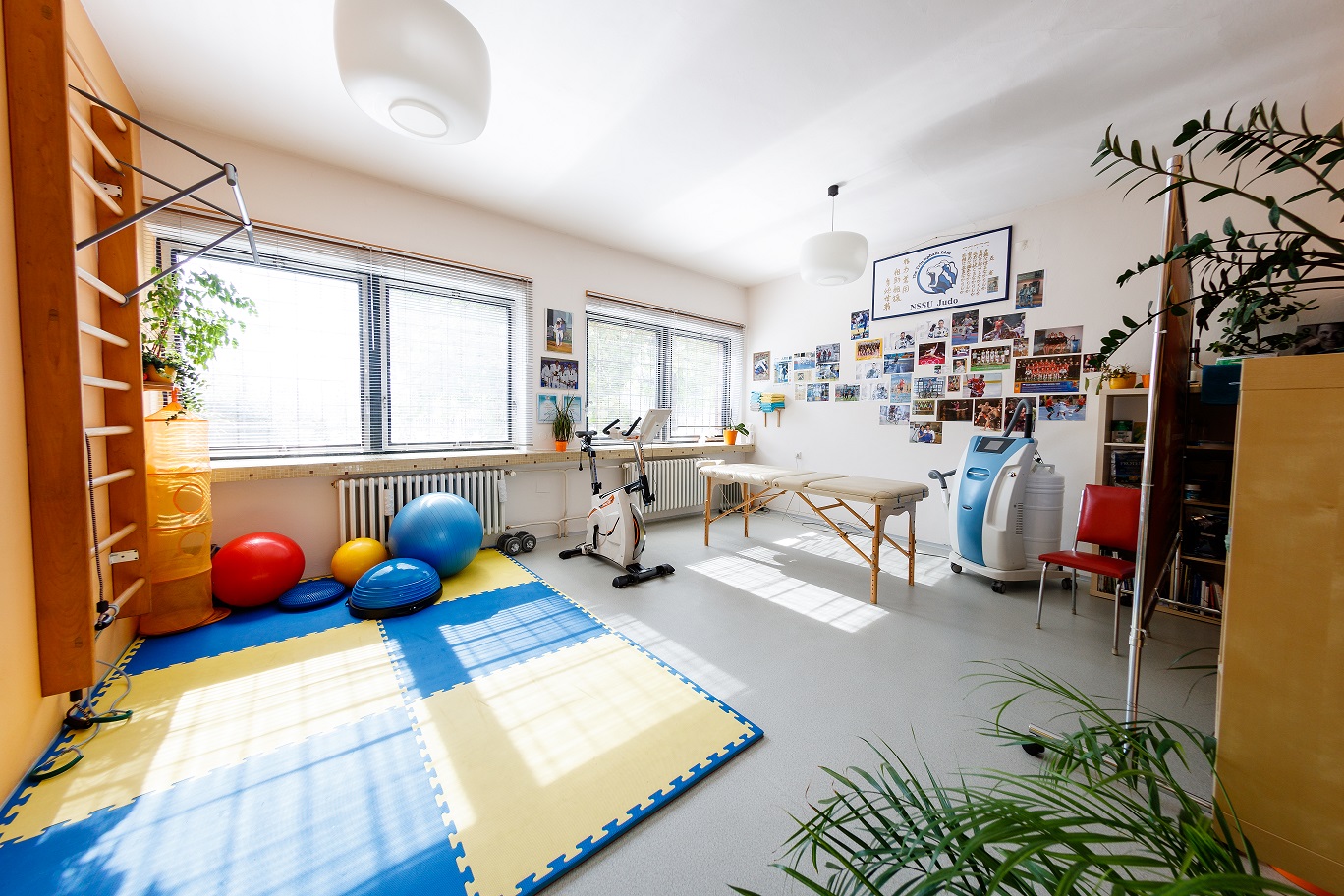 4p3 - Zdraví, Prosperita, Perspektiva foto 2