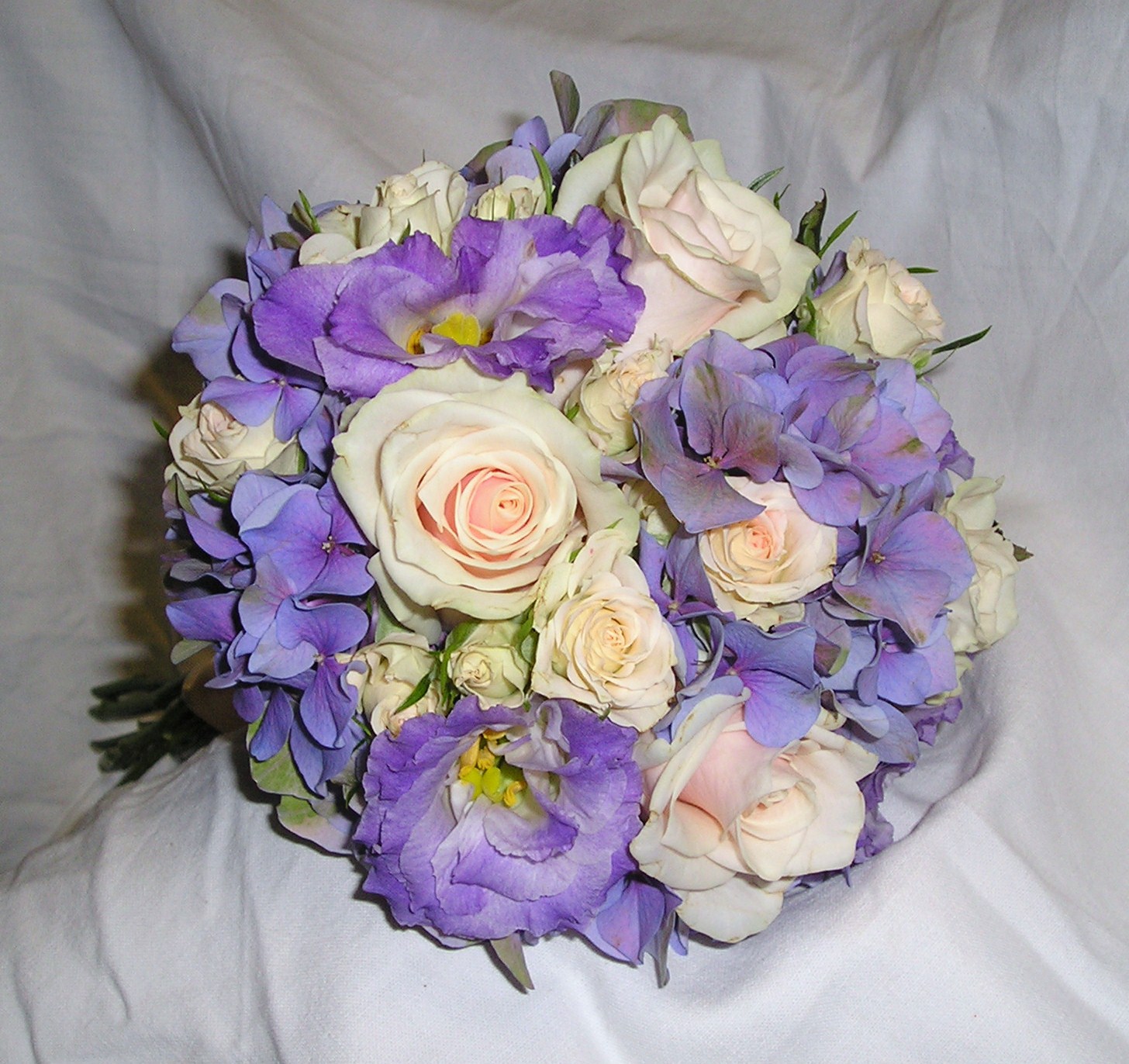 Zahradní a květinové centrum Senomaty foto 3