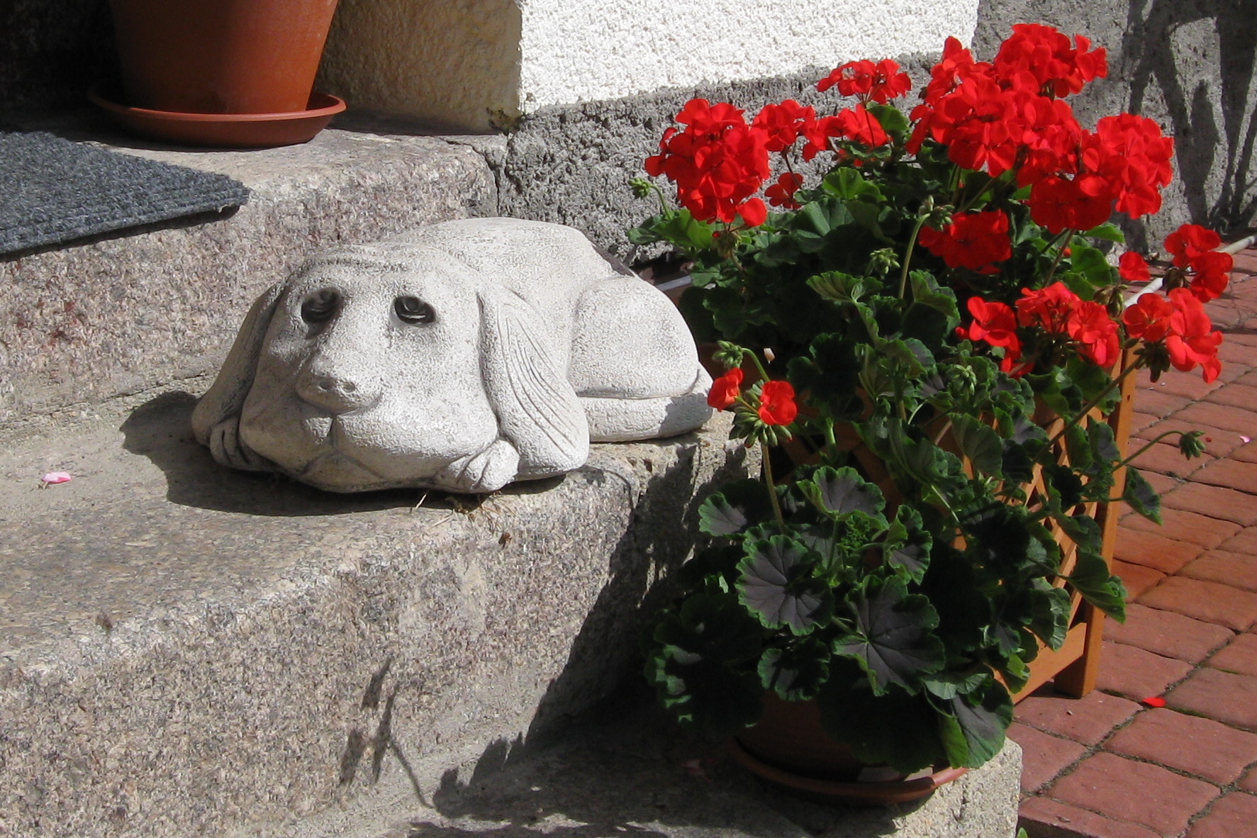 Ing. Ivana Zelenková foto 2