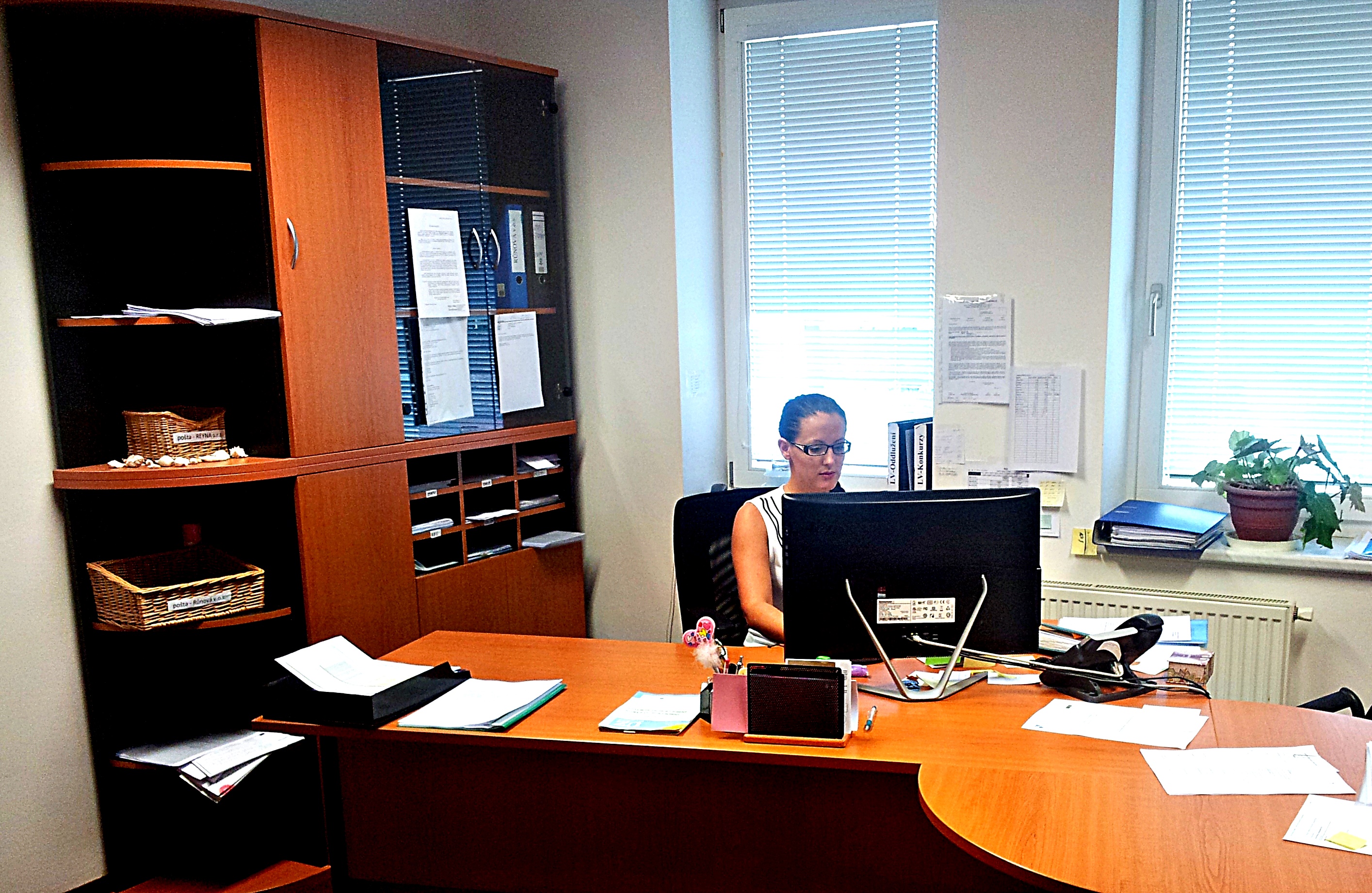 Růnová v.o.s. - Insolvenční správce foto 2