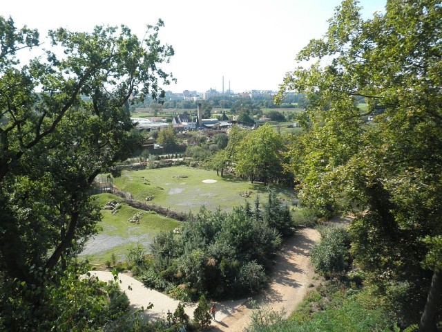 Zoo Plzeň foto 4
