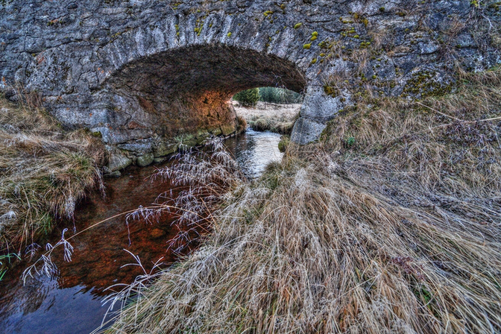 Chalupa U Vydřího mostu foto 4
