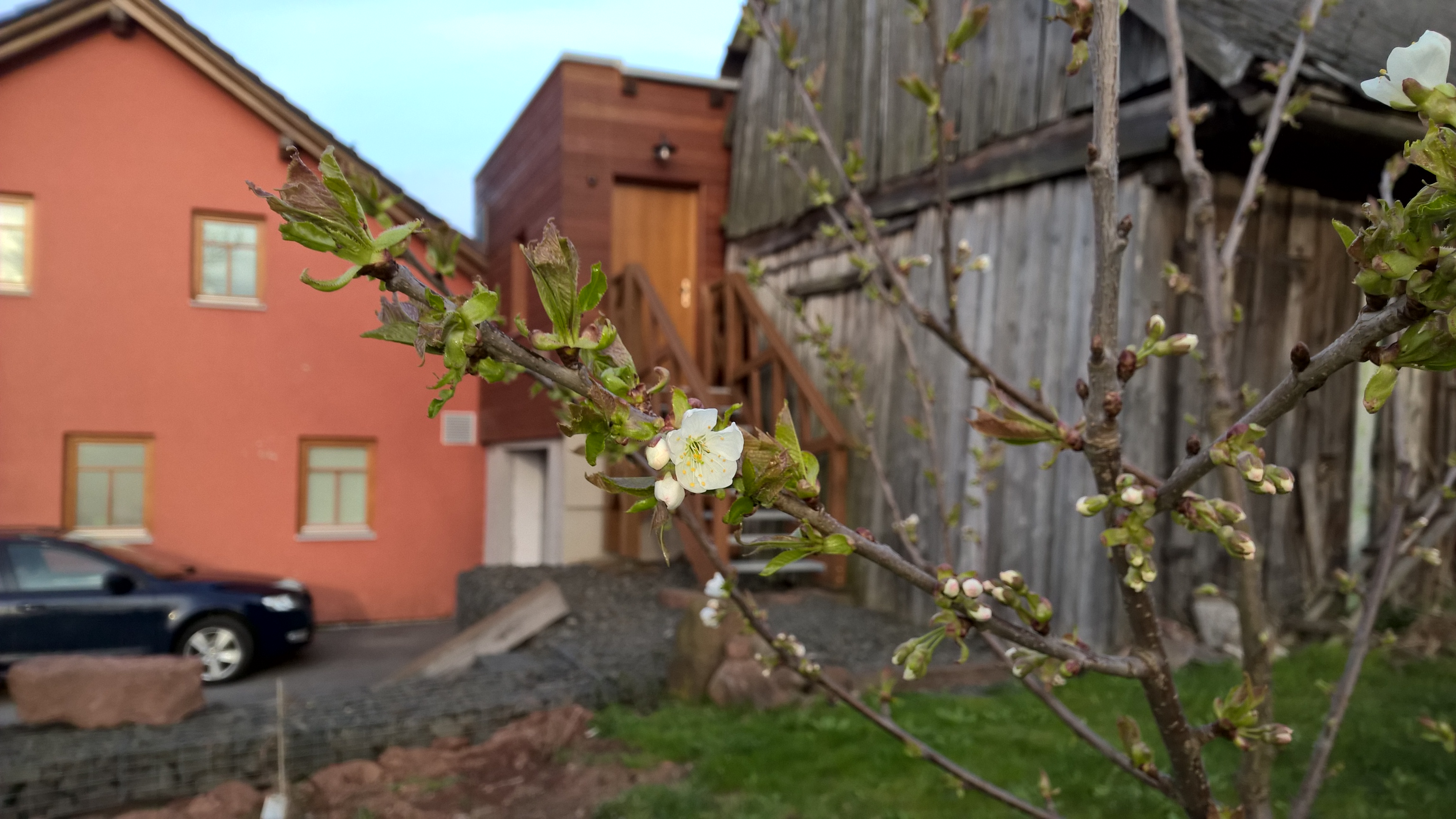 Apartma Krkonoše foto 4