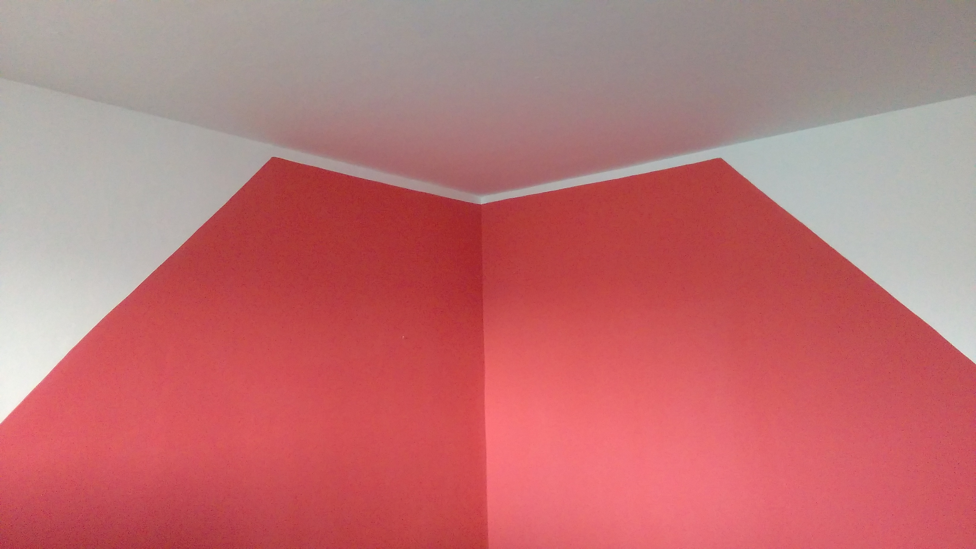 Malířství a pokládky podlah Tomáš Hanák s.r.o foto 4