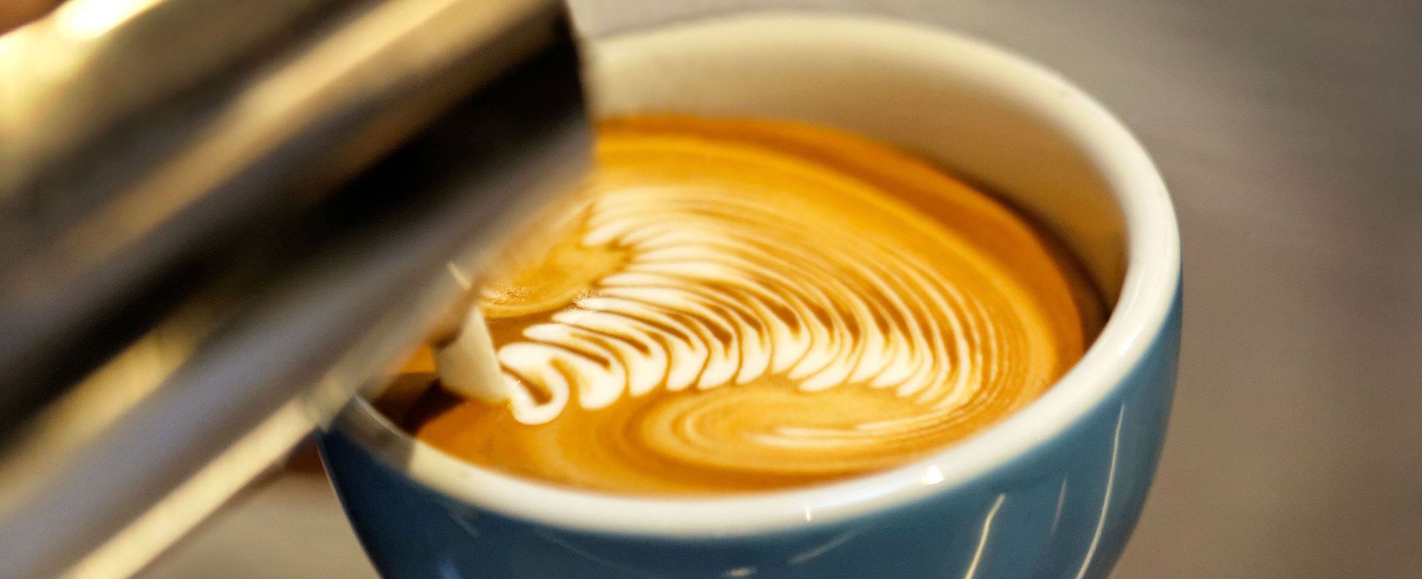 Česká univerzita přípravy kávy, LUCAFFE CZ s.r.o. foto 2