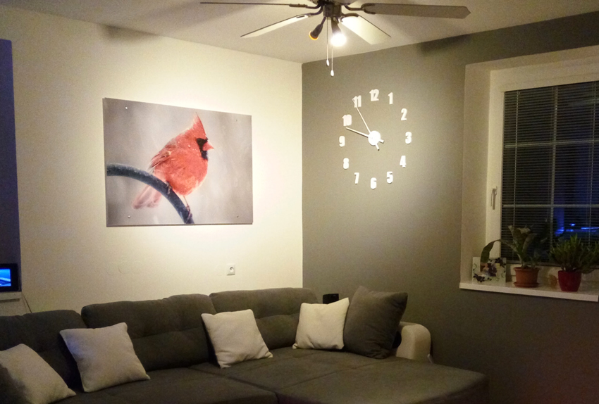 Aleš Křišťan - barevnatiskarna.cz foto 4