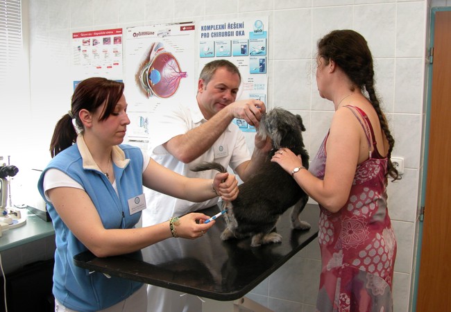 Veterinární klinika Medipet foto 6