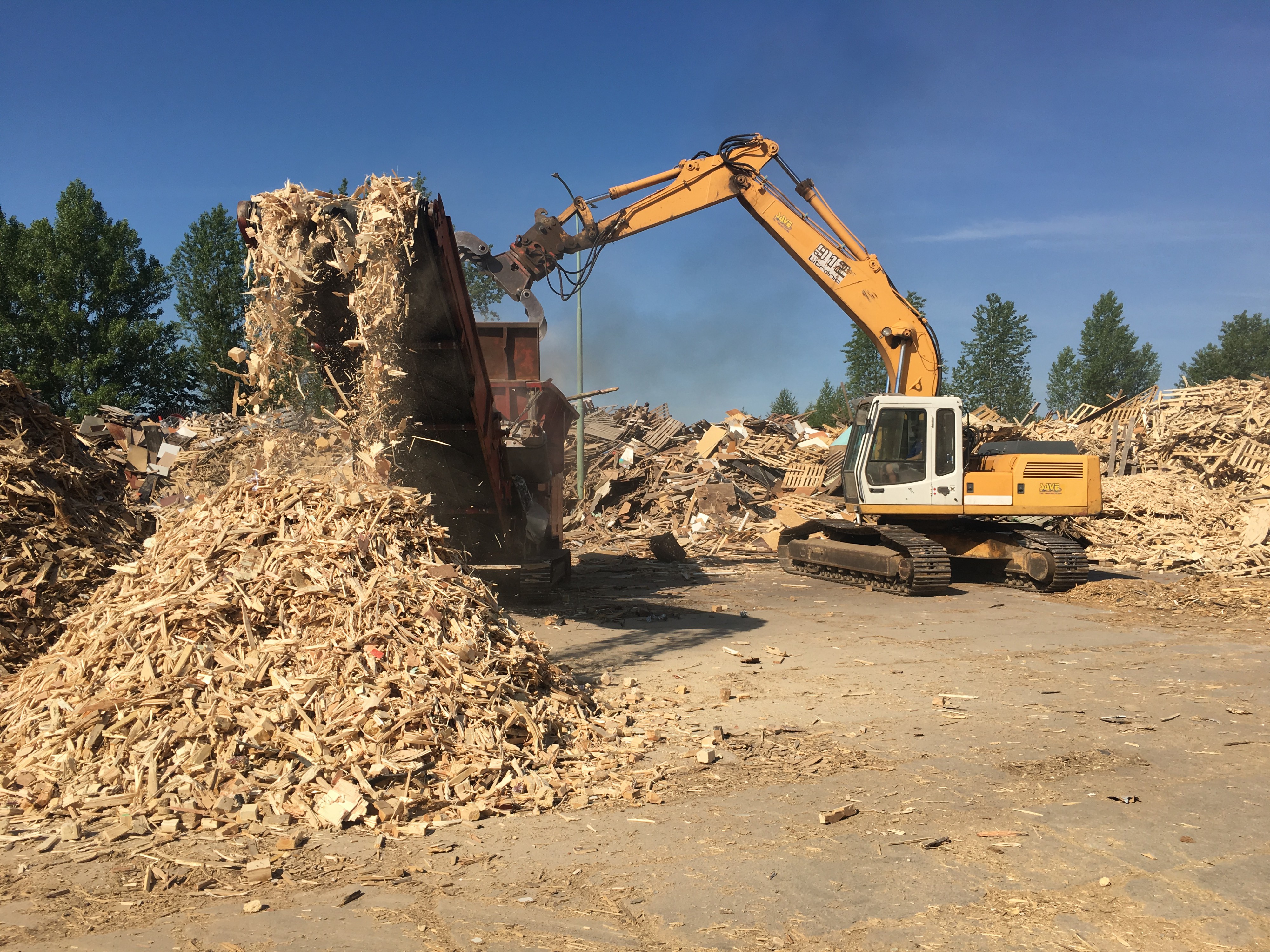 SAVE CZ s.r.o. - drcení dřeva foto 3