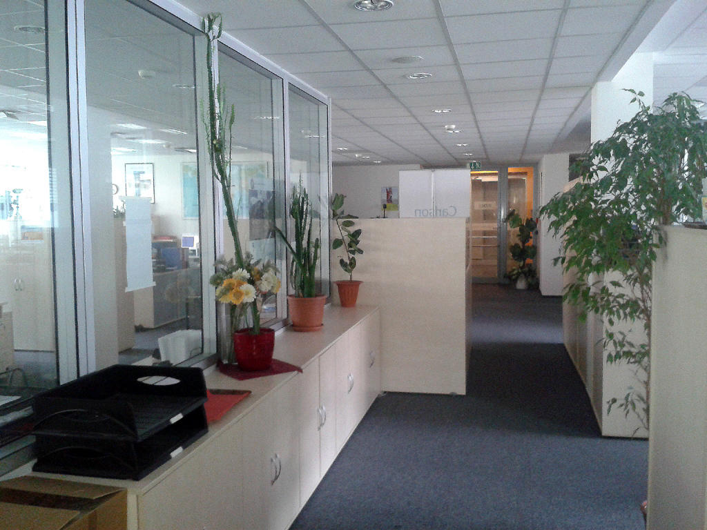 Carlson Wagonlit Czech Republic s.r.o. foto 3