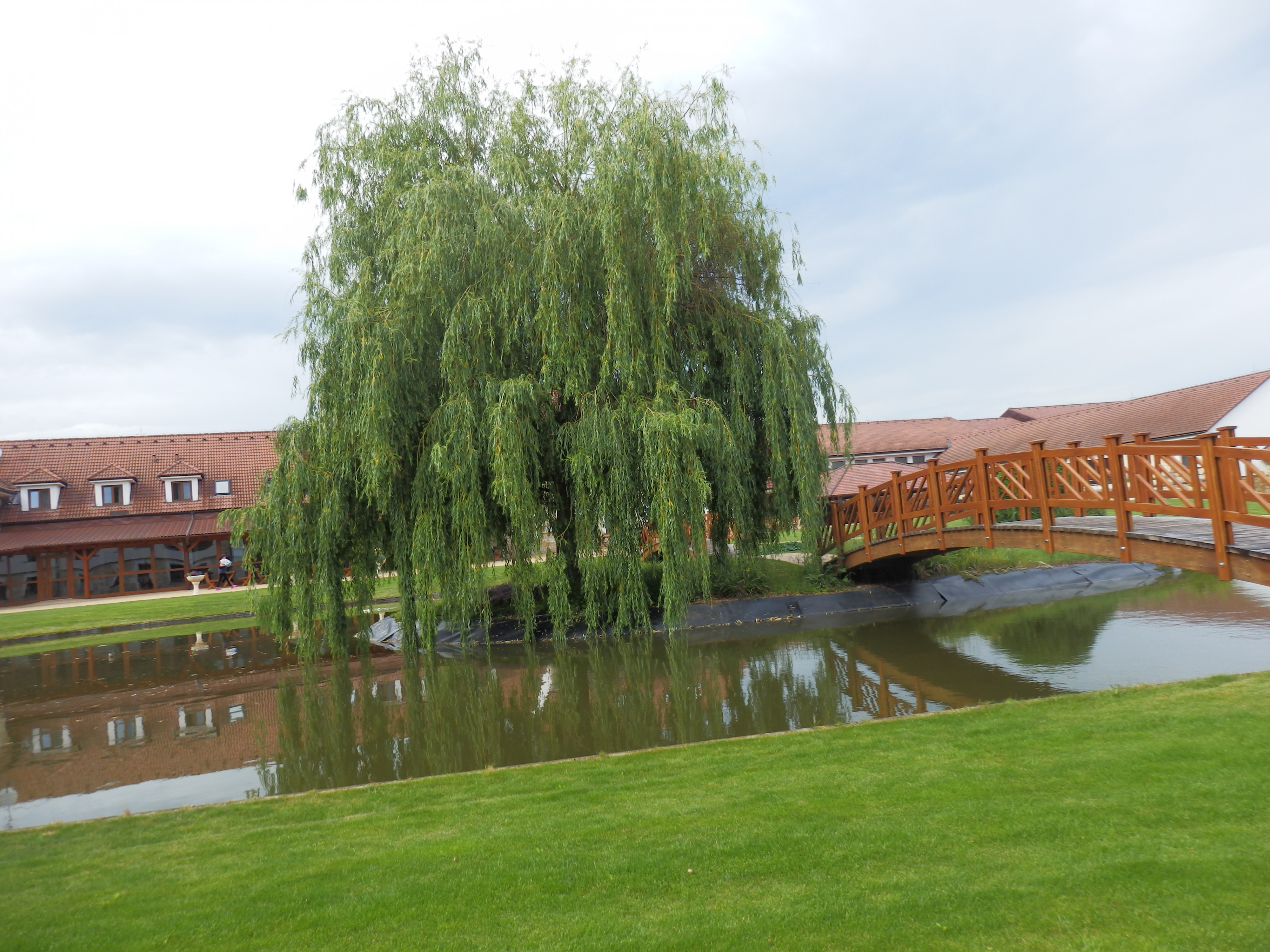 Hotel Lions - školící středisko Nesuchyně foto 2