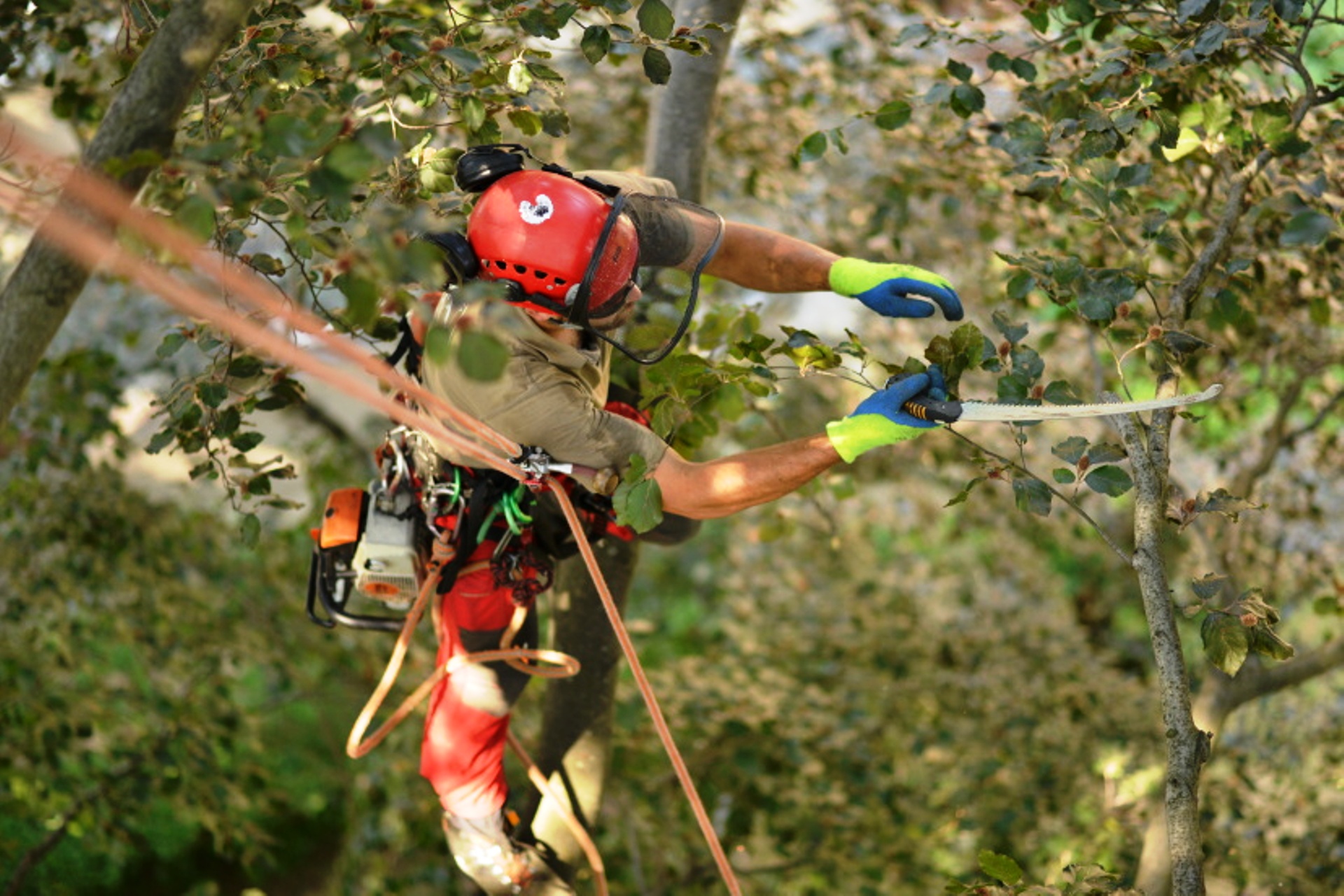 Kaceni Sarapatka s.r.o foto 4