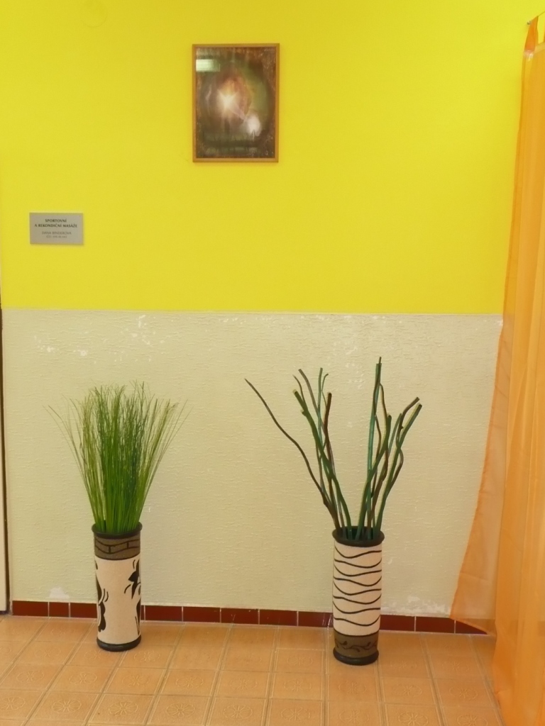 Salon Dana foto 3