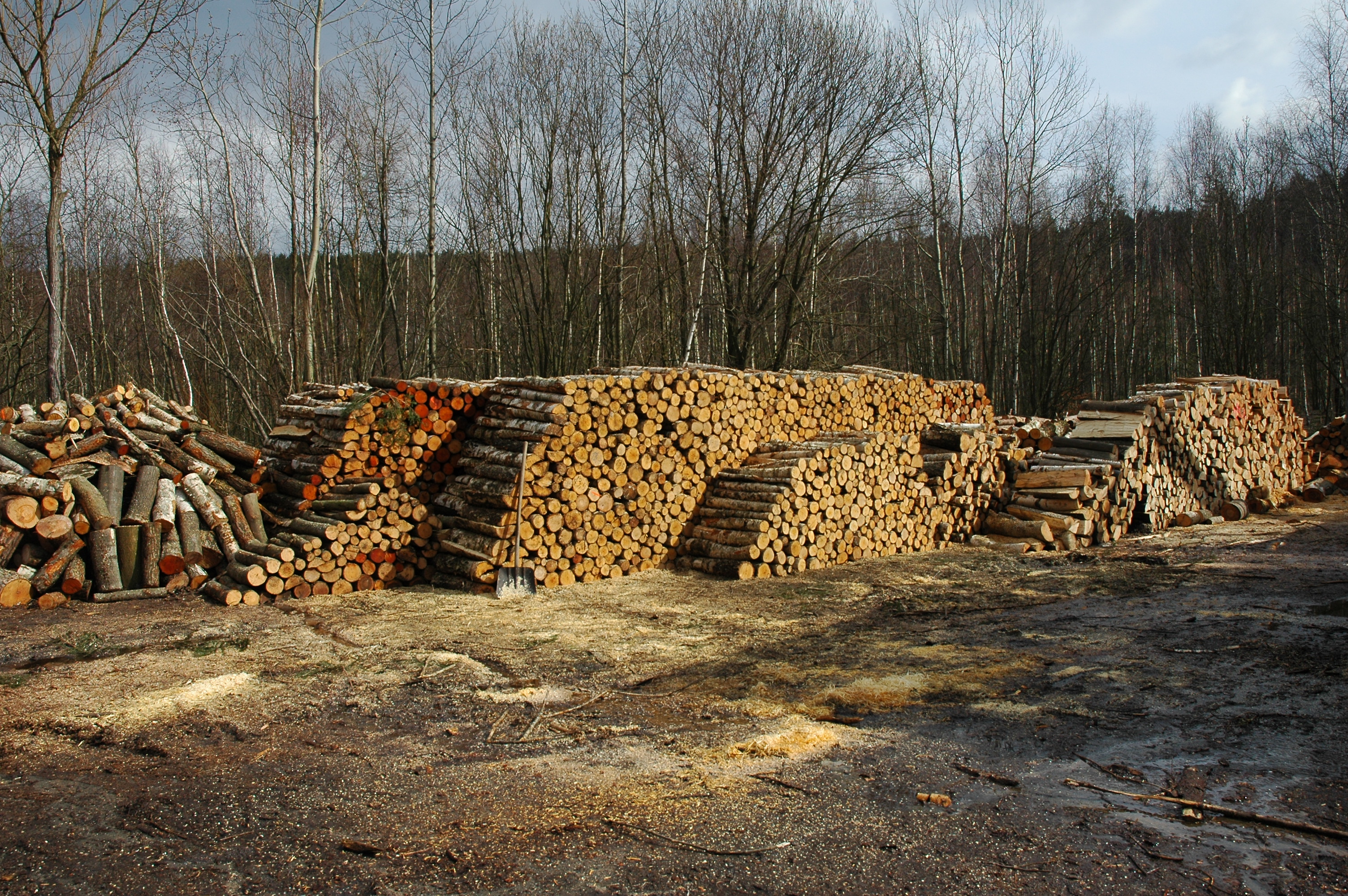 Tomáš Havelka foto 4