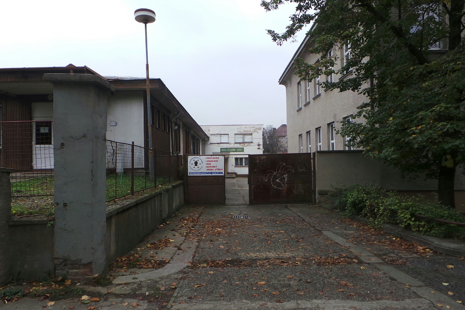 Table Tennis Club Litoměřice