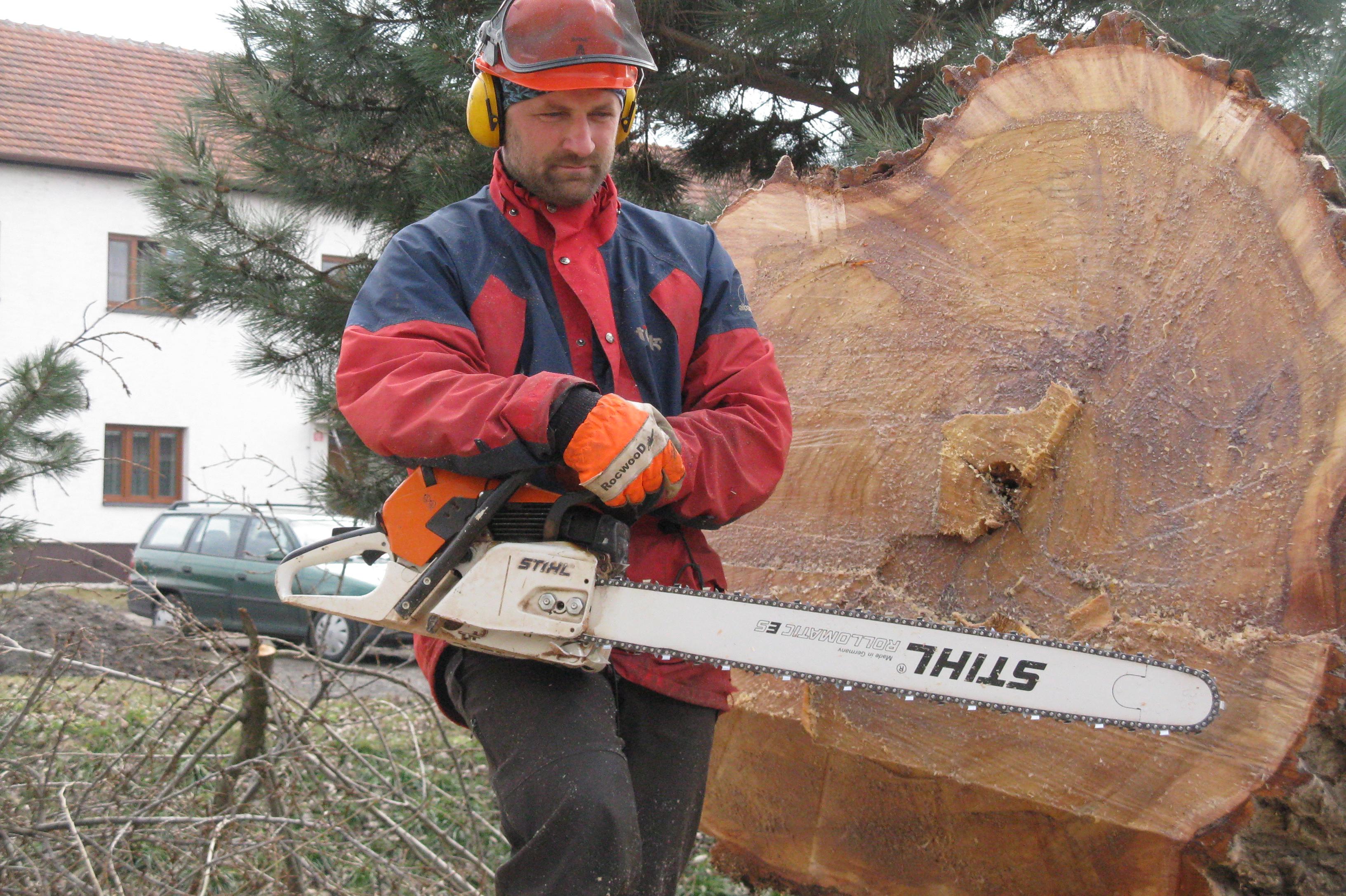 Zahradnictví - Jan Pavlík