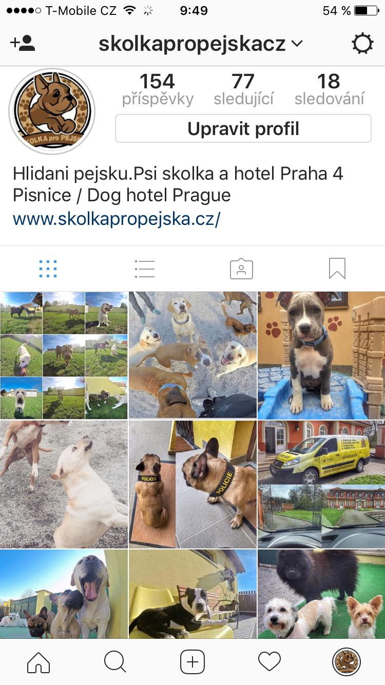 Školka pro pejska foto 2