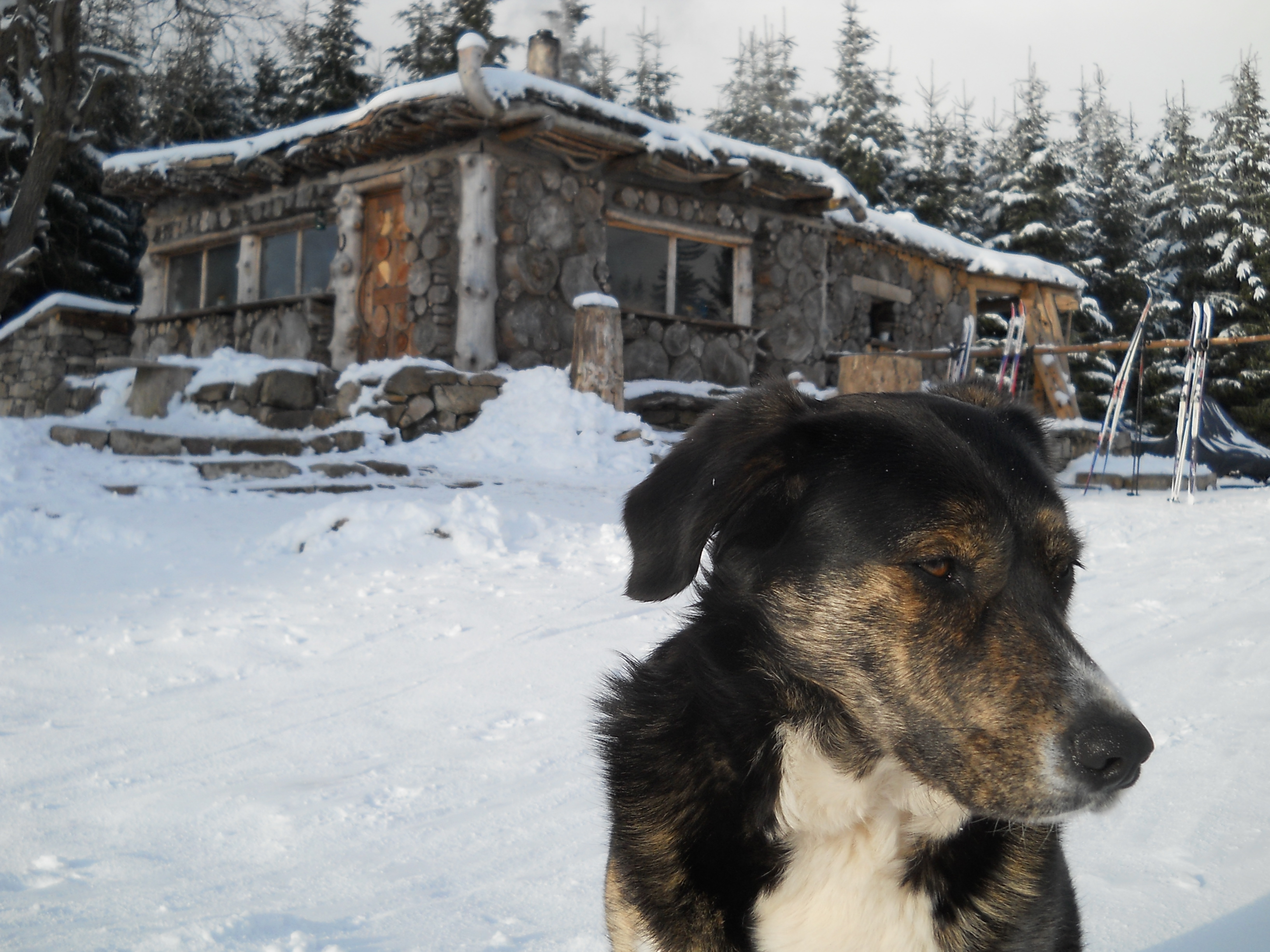 Občerstvení u Červené jámy foto 4