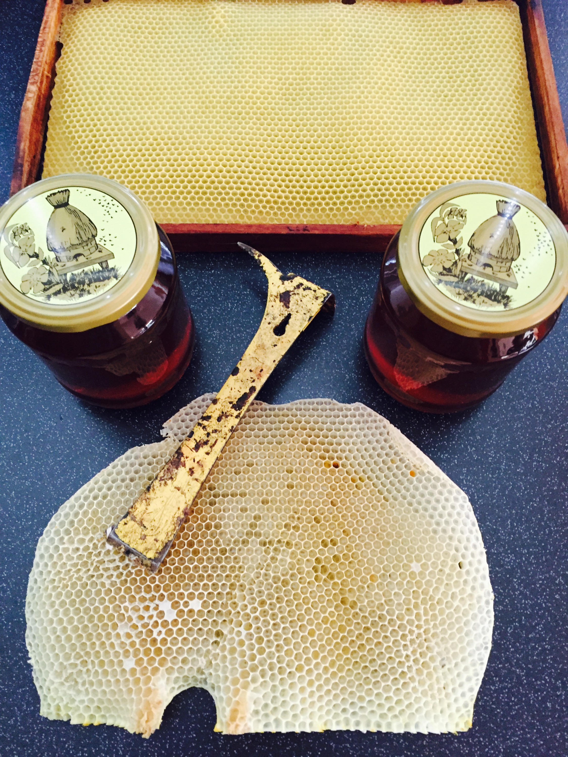 Petr Malý - Med Břežany foto 4