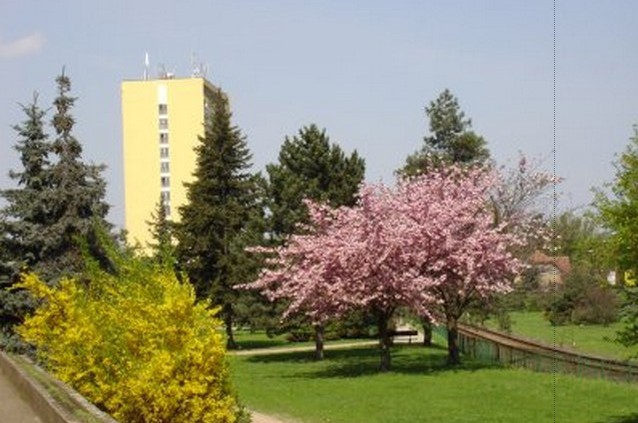 Neratovice - městský úřad foto 4