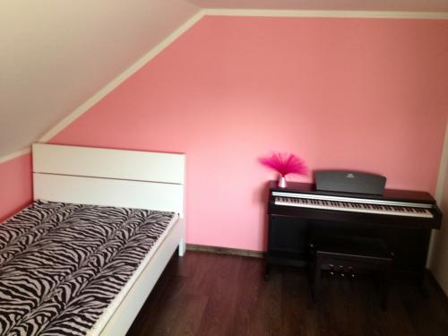 MALÍŘI NATĚRAČI CZ foto 2