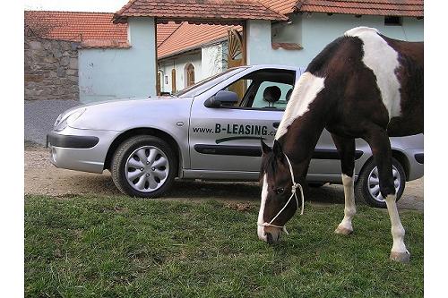 B-LEASING CZ s.r.o. foto 5