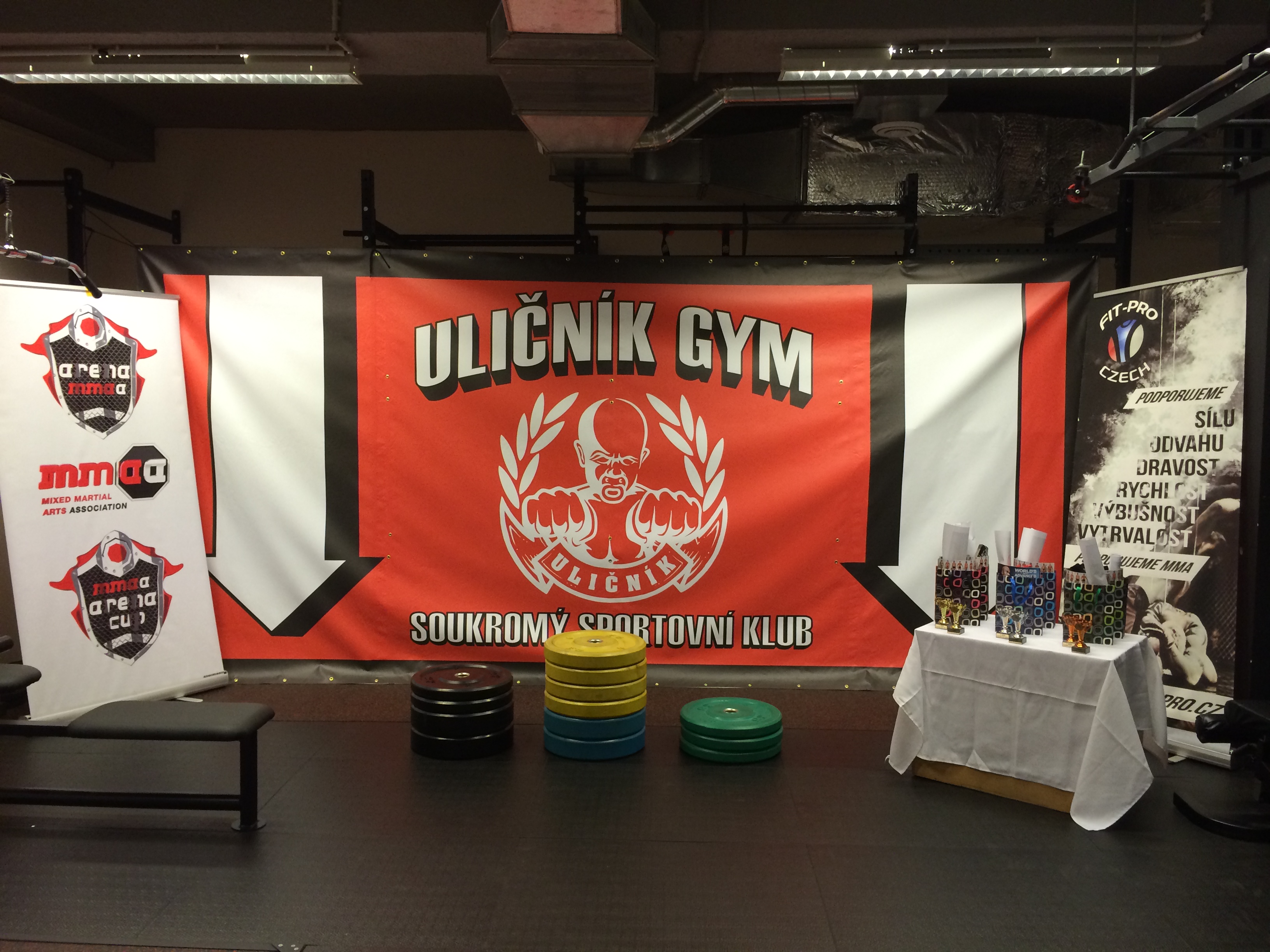 ULIČNÍK GYM foto 4
