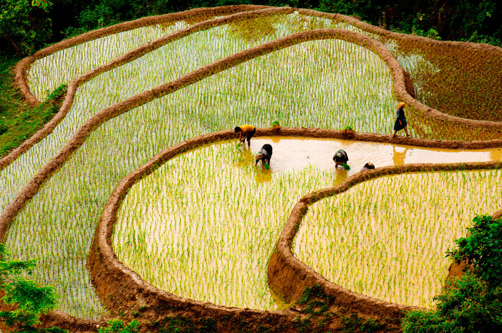 Go2 Vietnam foto 3