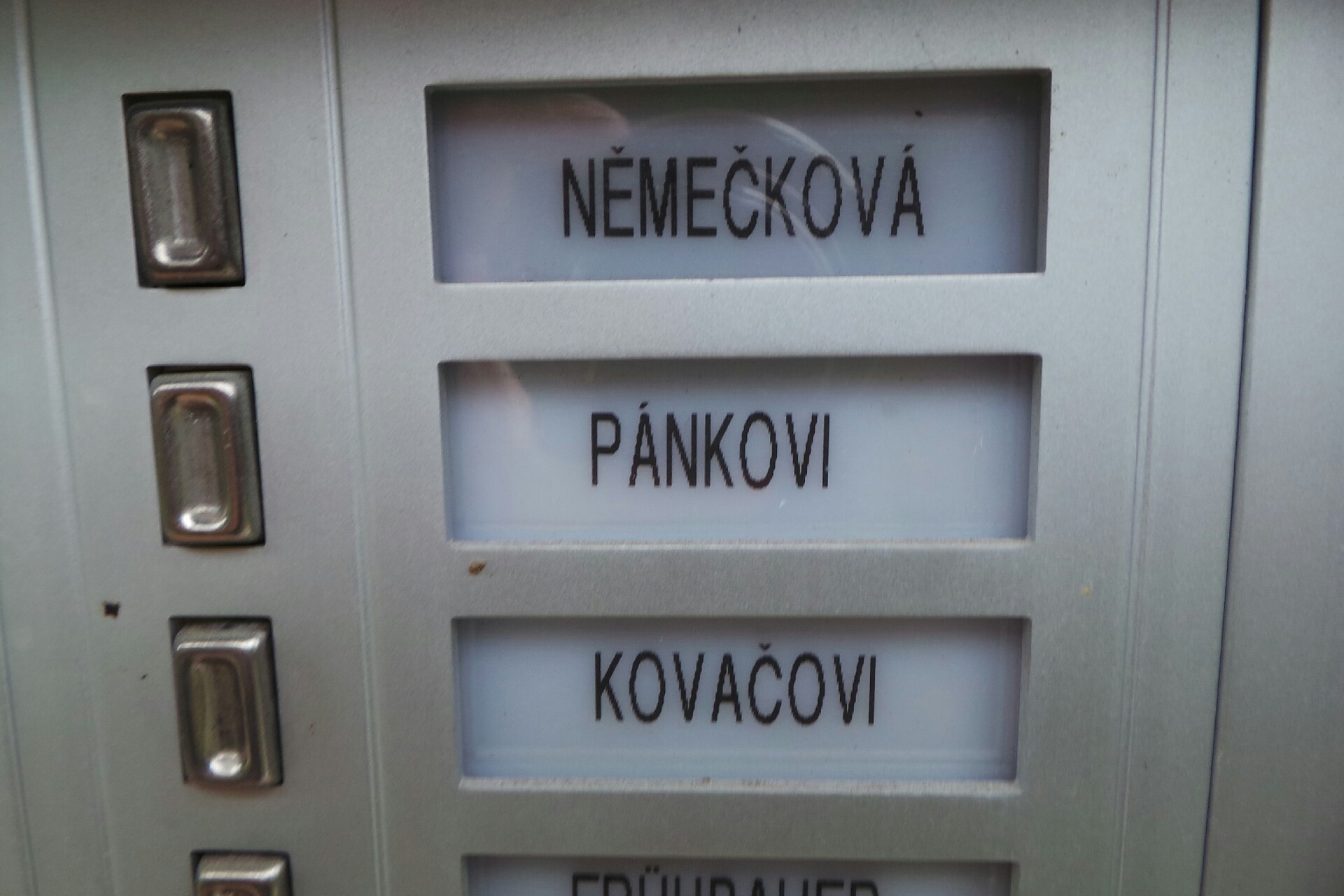 Tomáš Pánek - Paneto foto 2