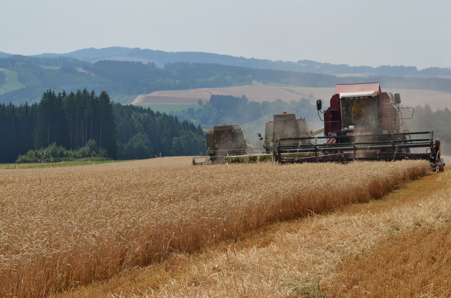 DS Agro Libštát, s.r.o. foto 3