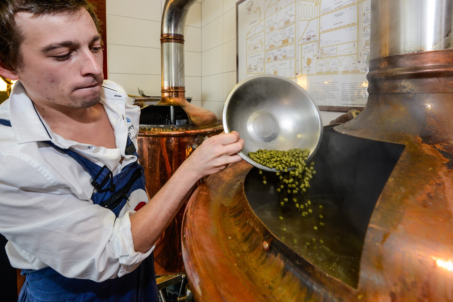 Pivovar Friesovy boudy