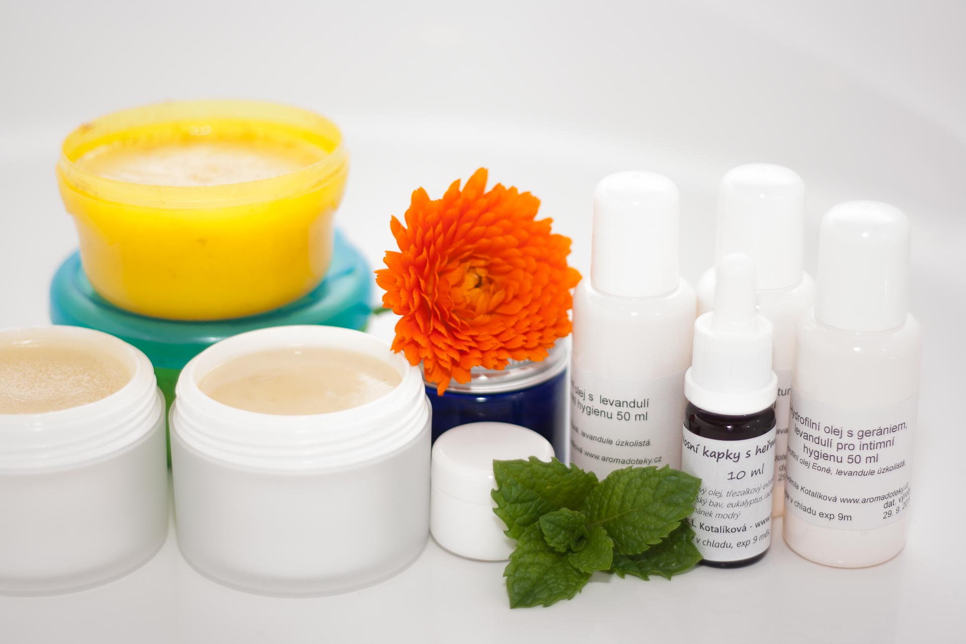 Ludmila Kotalíková - Aromadoteky foto 3