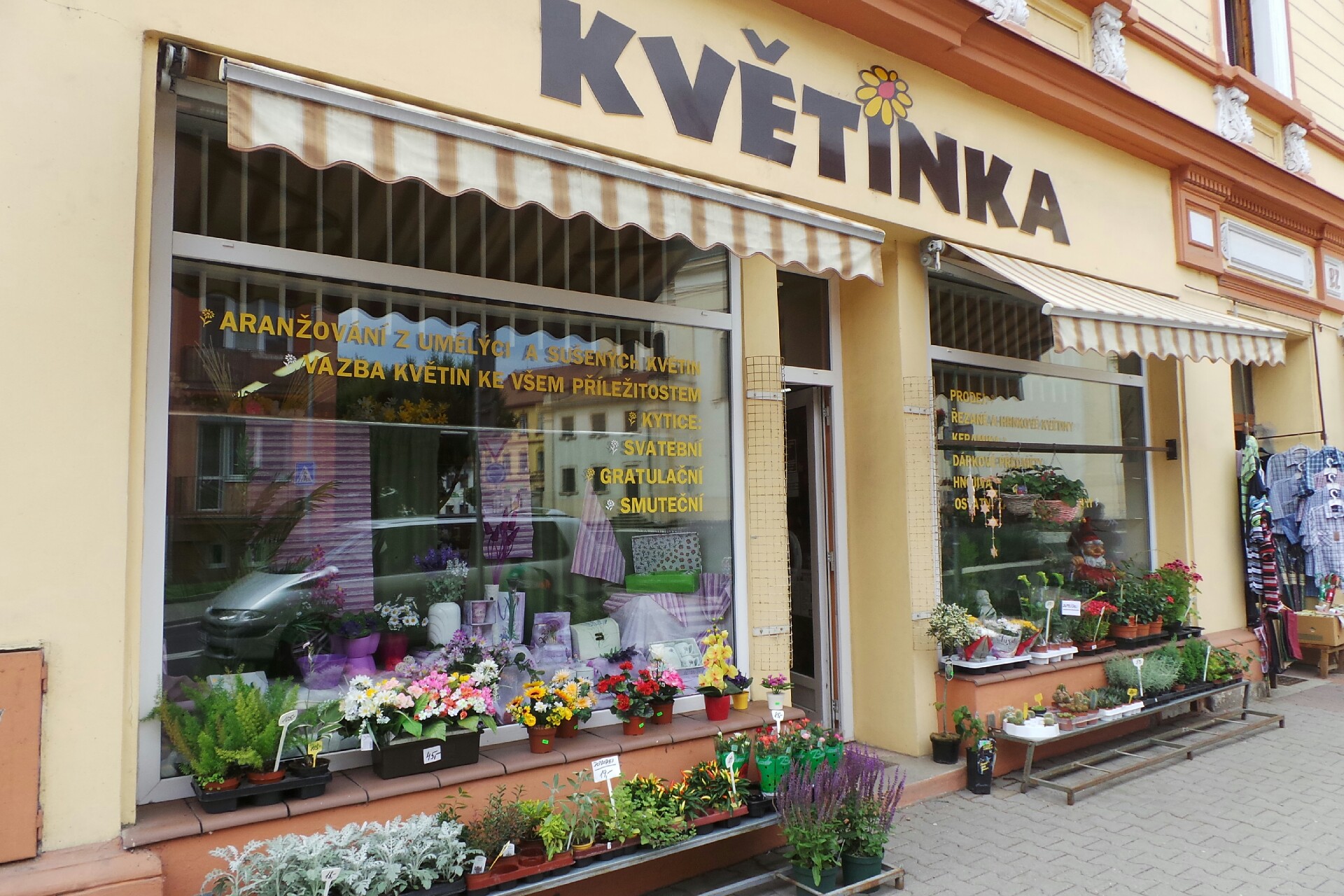 Květinka - Veronika Srbová