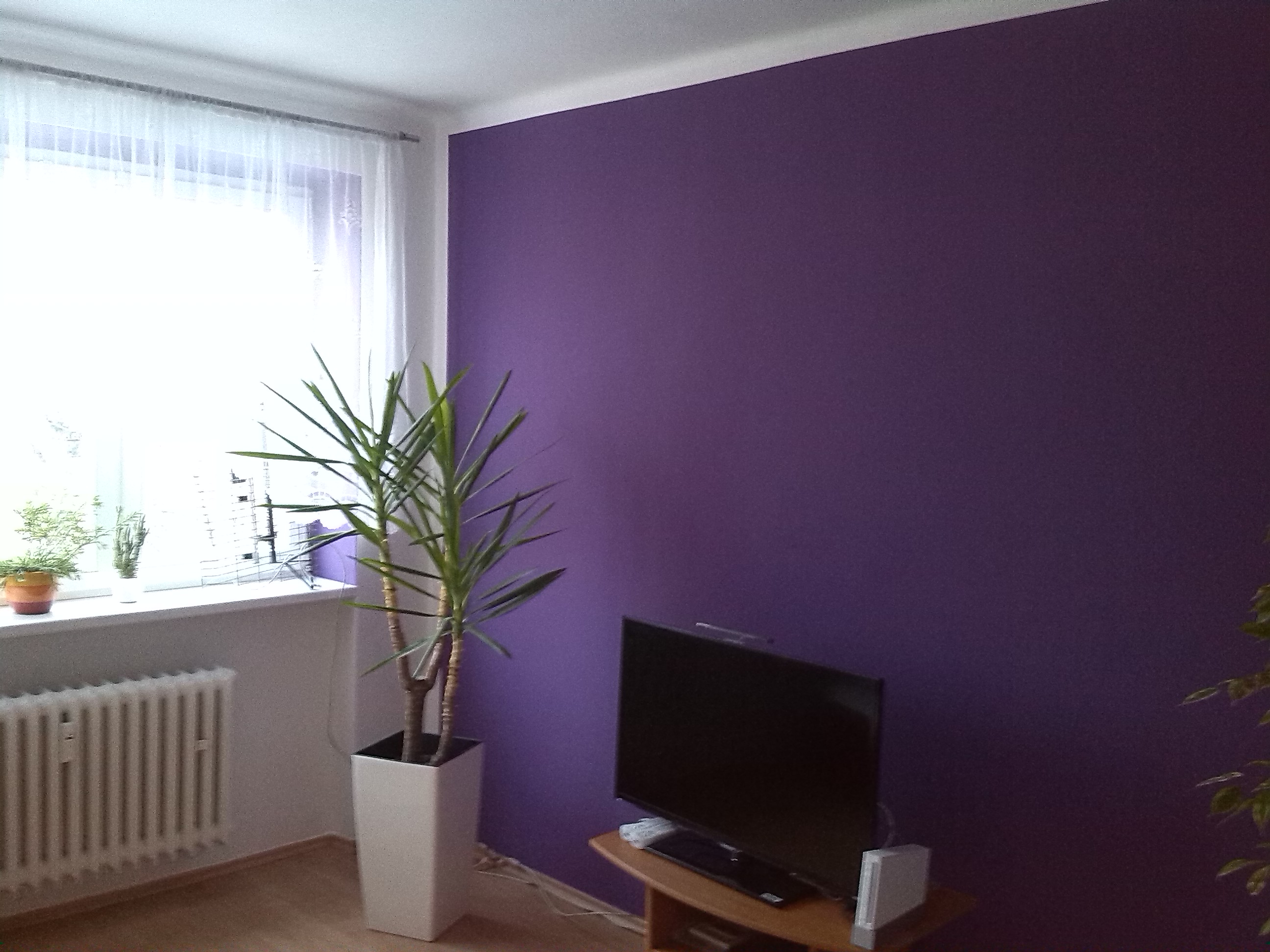 Malířství MAKREPA foto 3