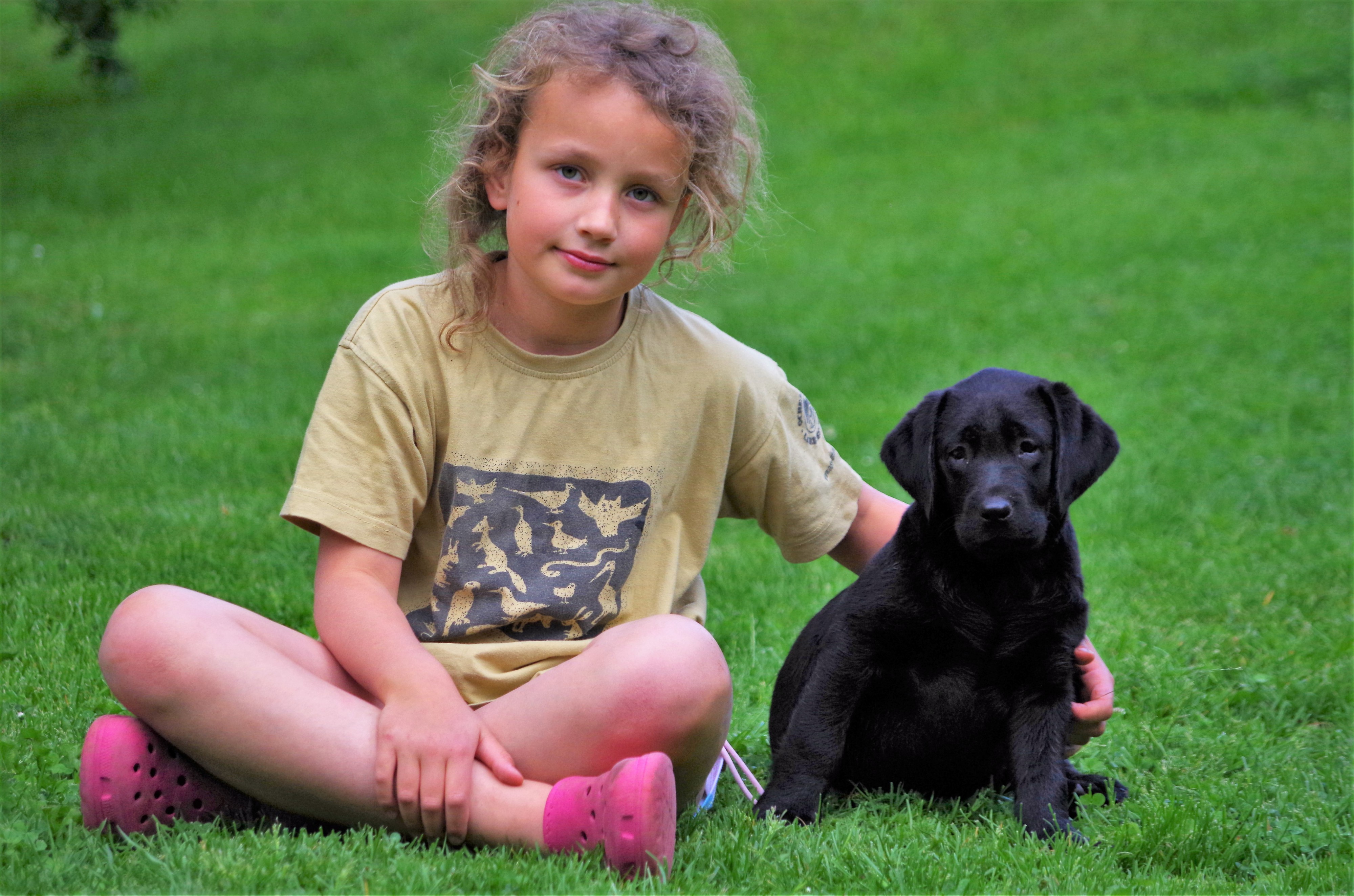 Kynologické cvičiště BRIT - Karel Stehlík foto 6