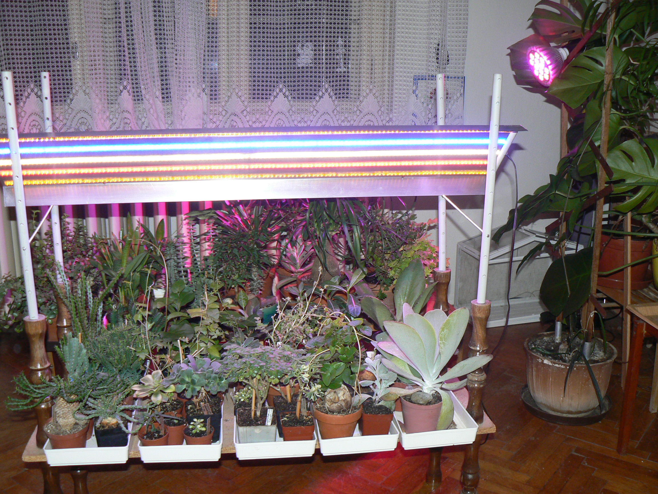 Petr Píška, DiS. - LED osvětlení foto 3