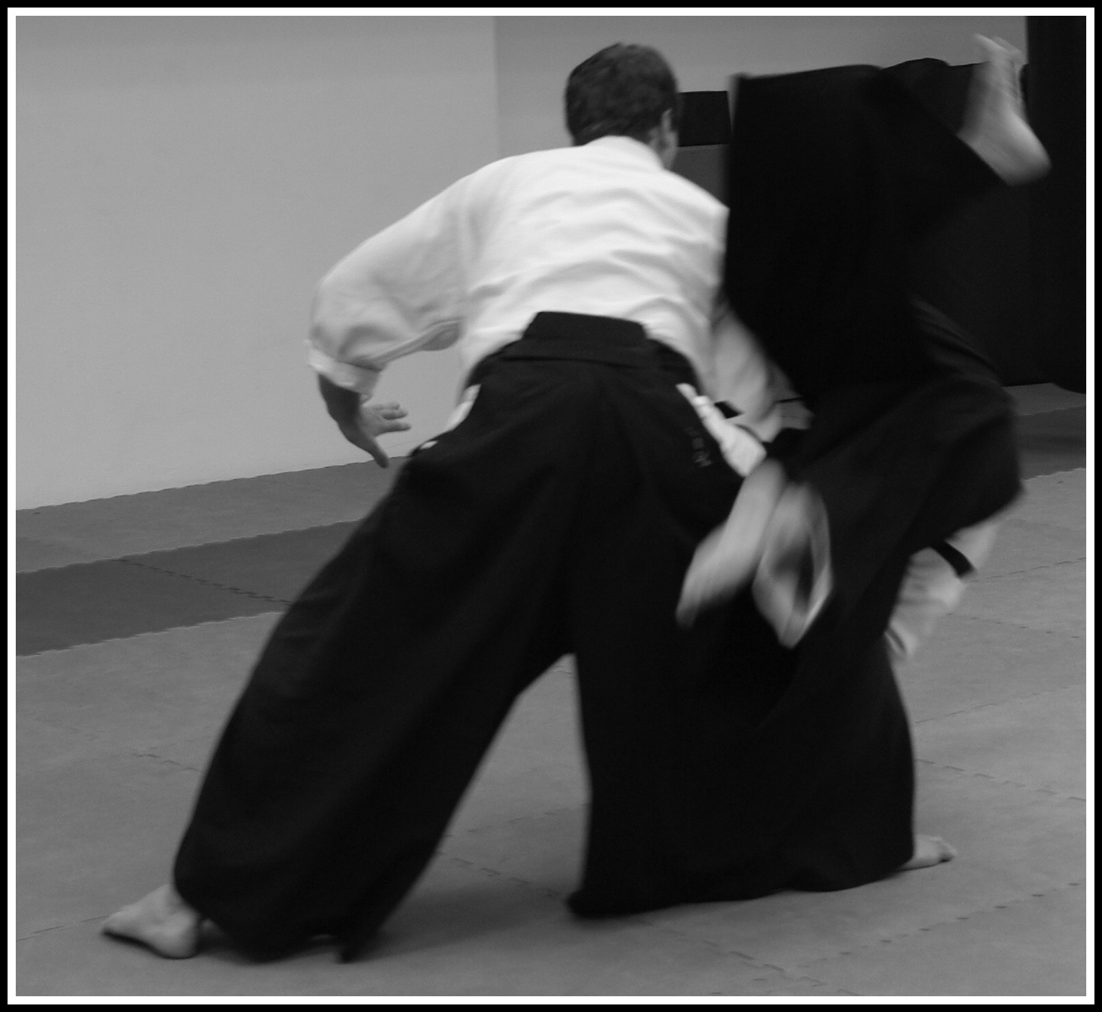 Usagi dojo foto 3