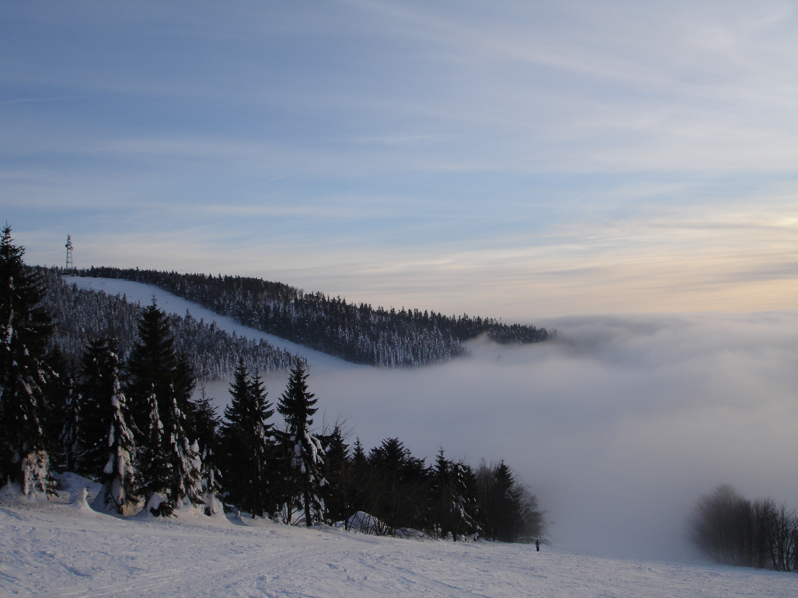 Pozemky Čenkovice foto 3