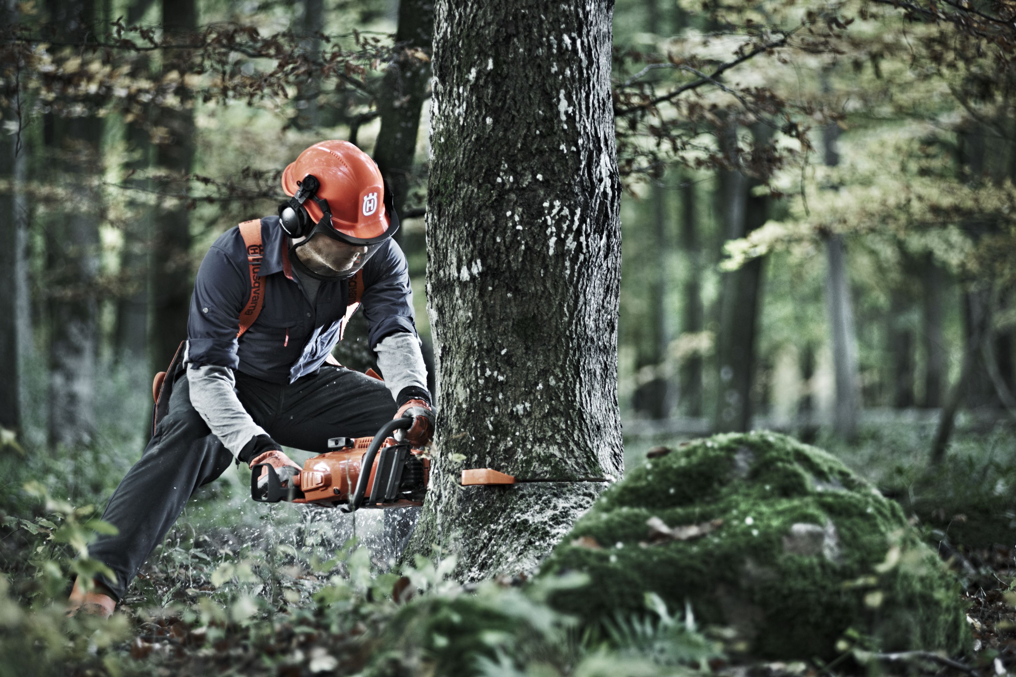Martin Kocum - Prodej zahradní techniky foto 2