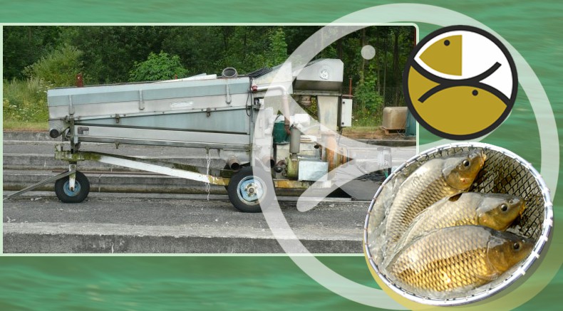 Rybářské sdružení České republiky foto 4