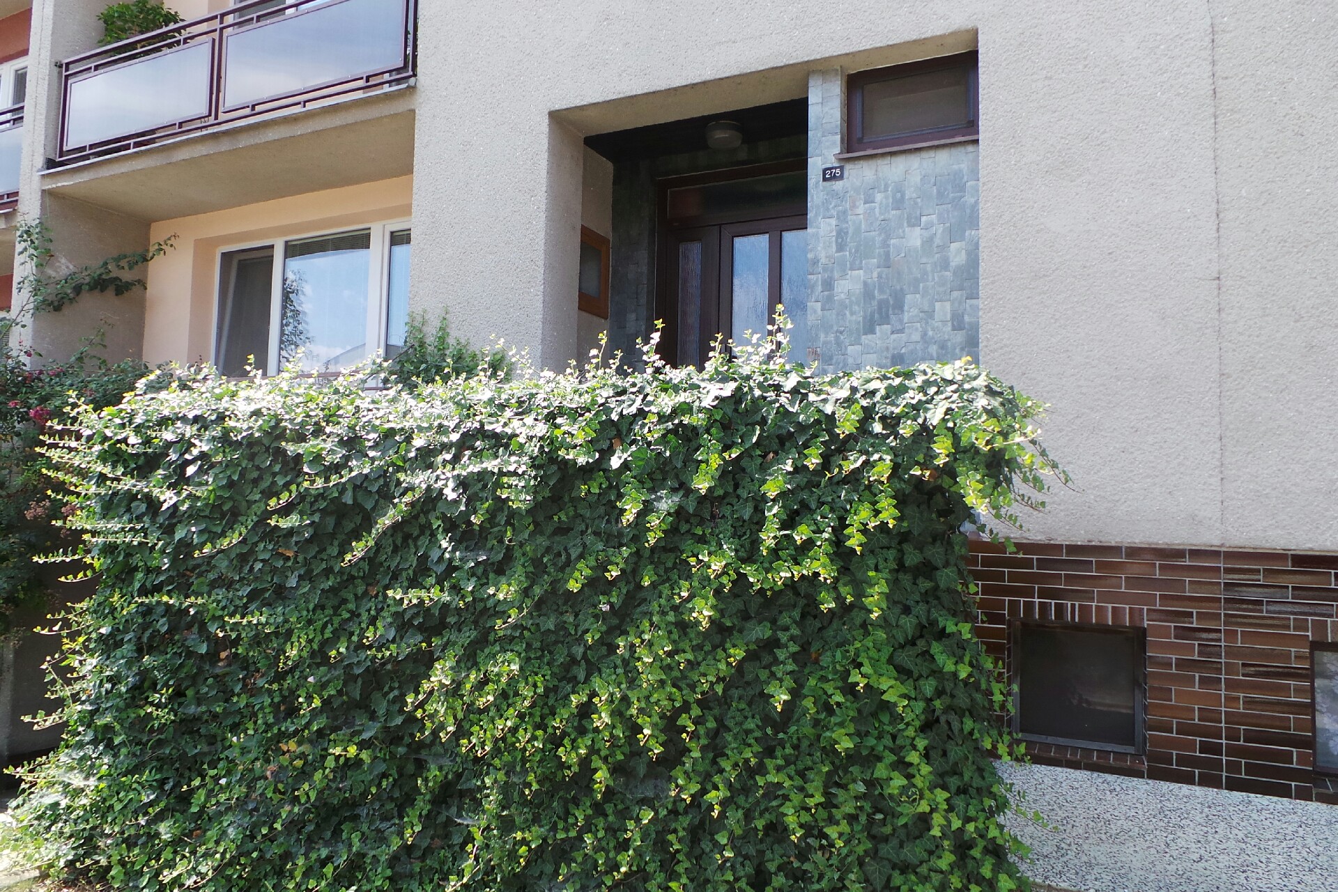 Petr Zapletal - Elektroinstalace