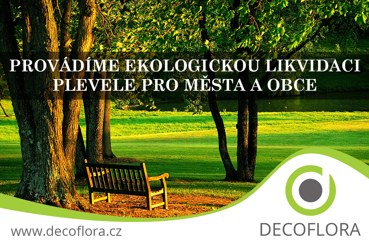 Decoflora Vlastimil Bureš foto 2